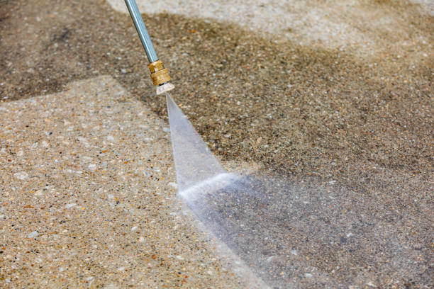 Best Residential Pressure Washing in Blue Grass, IA